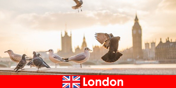 국제 방문객을 위한 런던의 관심 장소