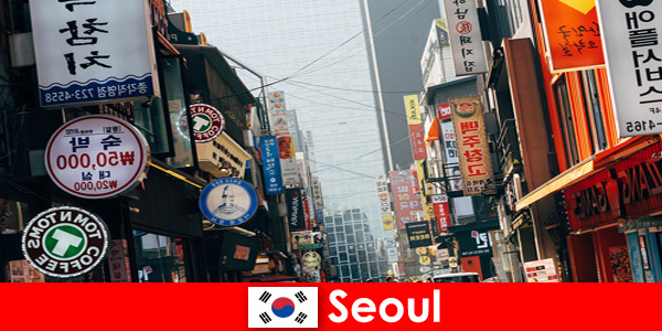 서울, 야간 관광객을 위한 조명과 광고의 흥미진진한 도시