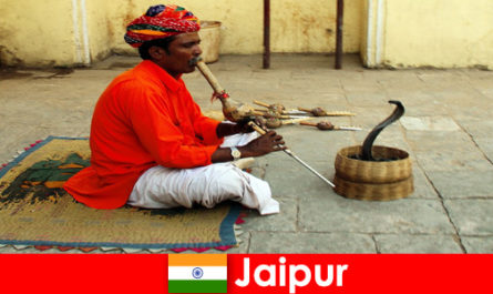 자이푸르 인도에서는 휴가객들이 분주한 거리에서 뱀 춤과 엔터테인먼트를 경험합니다.
