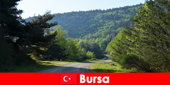 부르사 터키는 아름다운 자연에서 하이킹 관광객을위한 조직 여행을 제공합니다