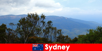 시드니 오스트레일리아자연 관광객을 위한 편안한 캠핑 휴가