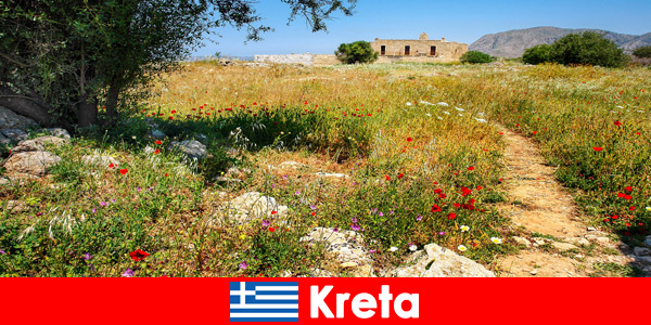 자연 경험을 가진 건강한 지중해 음식이 크레타 그리스의 휴가객을 기다리고 있습니다.