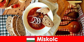 미스콜크 헝가리의 지역과 문화를 즐기실 수 있습니다.