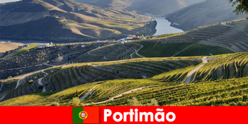 포르티마오 포르투갈 산에서 와인 시음회와 진미를 즐기시는 손님들을 즐기십니다.
