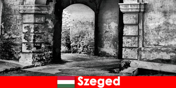 연금 수령자는 Szeged 헝가리에서 사랑하고 사는 것을 선호합니다.