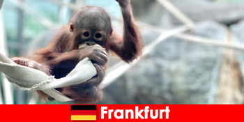 독일에서 두 번째로 오래된 동물원에서 프랑크푸르트 가족 나들이